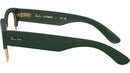 RB7316V Optics 8062
