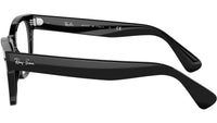 Laramie Optics RB2201V 2000