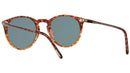 O'Malley Sun OV5183S 1638R8 Tortoise