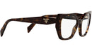 PR 18WV tortoise