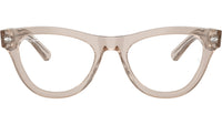 RB5510 Optics 8449