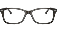 RB5428 Optics 8299