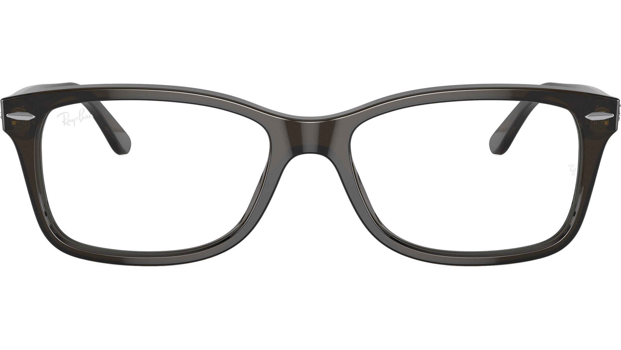 RB5428 Optics 8299