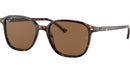 Leonard RB2193 tortoise classic polar