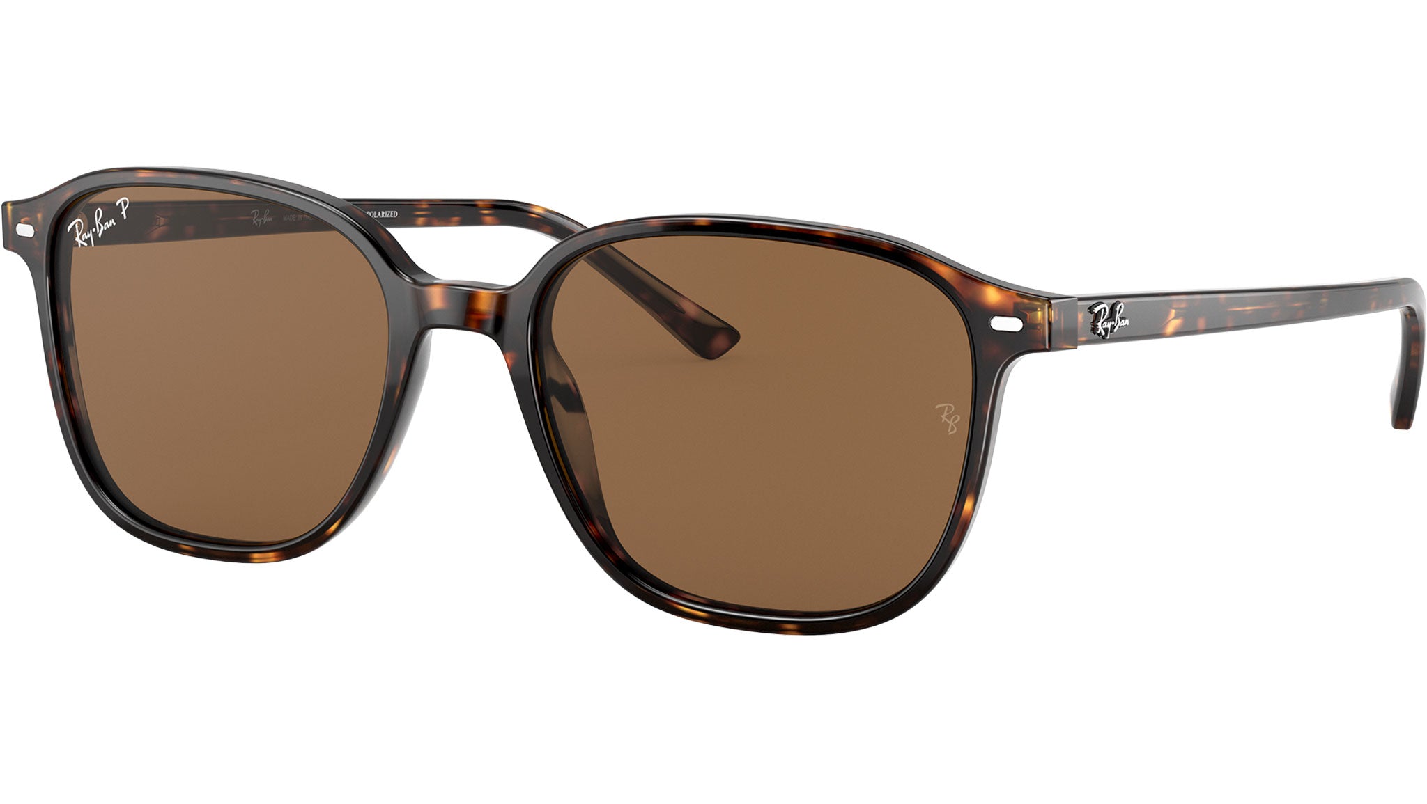Leonard RB2193 tortoise classic polar