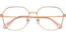 SK1009D 4014