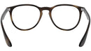Erika Optics RB7046 tortoise