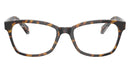 RY1591 3805 Tortoise