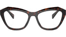 PR A20V 17N1O1 Tortoise