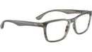RB5279 Optics 8453