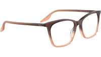 RB5422 Optics 8312