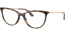 VO5239 W656 tortoise