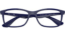 RB7047 Optics 8100