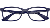 RB7047 Optics 8100