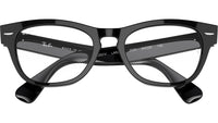 Laramie Optics RB2201V 2000