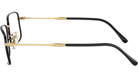 RB3746V Optics 3175