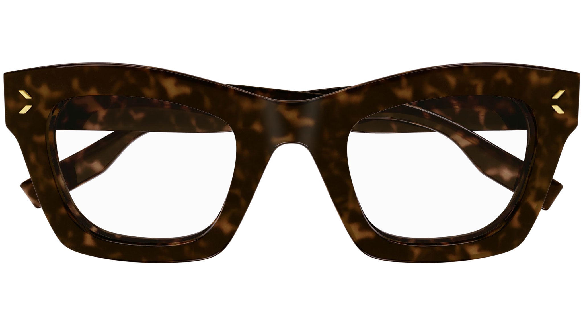 MQ0343O 006 shiny tortoise