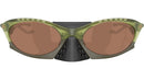 Plantaris OO9437 03