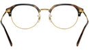 RB7229 Optics 2012