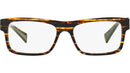3046 2891 tortoise