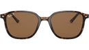 Leonard RB2193 tortoise classic polar