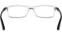 RB7017 Optics 5943