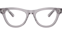 RB5510 Optics 2102