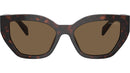 PR A09S 16N5Y1 Tortoise