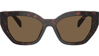 PR A09S 16N5Y1 Tortoise