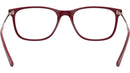 RB7244 Optics 8099
