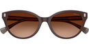 RA5326U 606574 Solid Brown Milky Brown