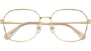 SK1009D 4013