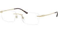 RB8781D Optics 1251