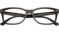 RB5428 Optics 8299