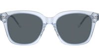 AR 8210U 6081R5 Blue