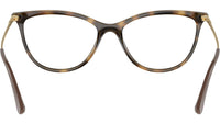 VO5239 W656 tortoise