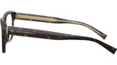 DG 3362 502 tortoise