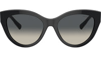 TF4220 800171 Black