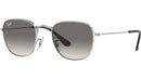RJ9557S 212/11 silver