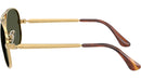 Aviator Max RB3925 001/31