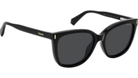 PLD 6229/CS 807 M9 Clip