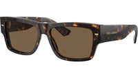 DG 4451 502/73 Tortoise Brown