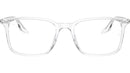 RB5421 Optics 2001