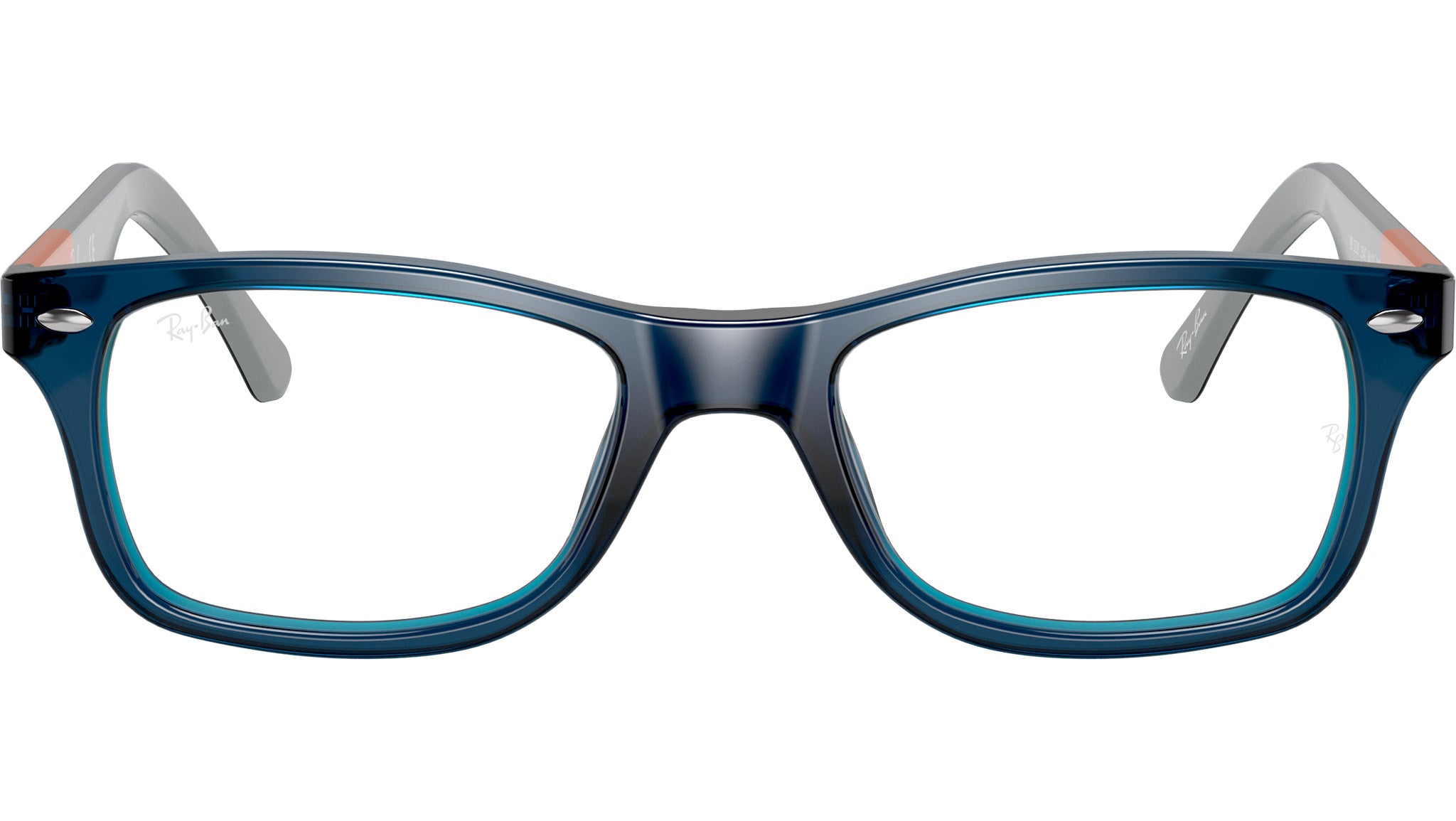 RB5228 Optics 5547