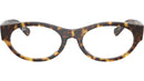 RB5447 Optics 5082