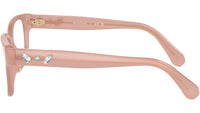 SK2007 1025