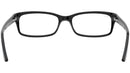 RB5187 shiny black