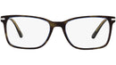 PR 14WV moro turquoise tortoise