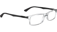 RB7017 Optics 5943