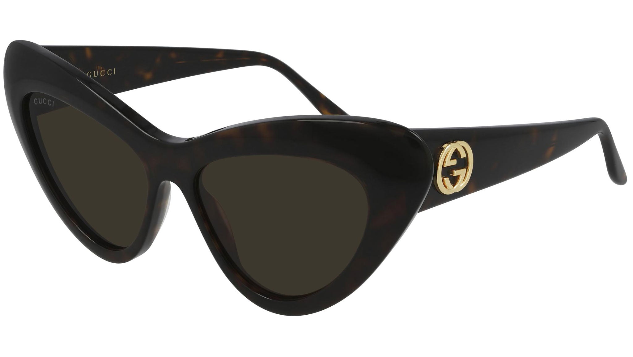 GG0895S 002 shiny tortoise